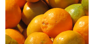 Immunity boosters citrus fruits