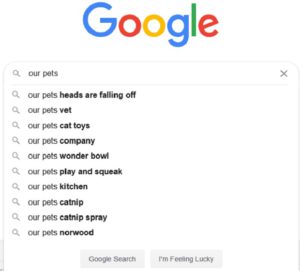 Weirdest & Funniest Google Searches Ever. Don’t Miss! | Piccle