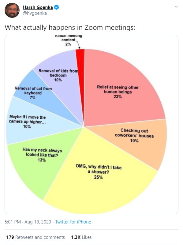 Zoom Meetings infographic