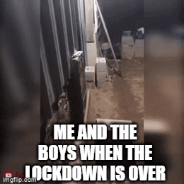 Lockdown memes