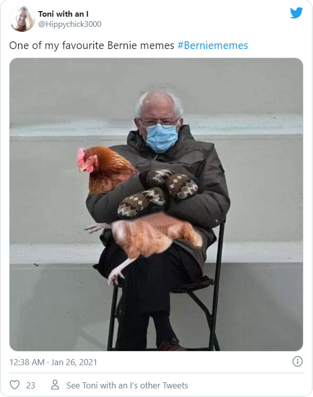 Bernie Sanders viral memes