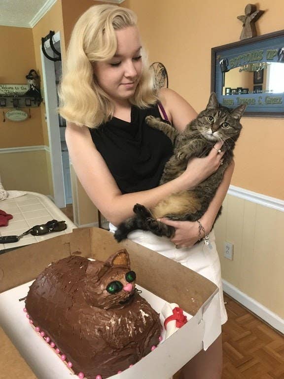Cat cake bad design