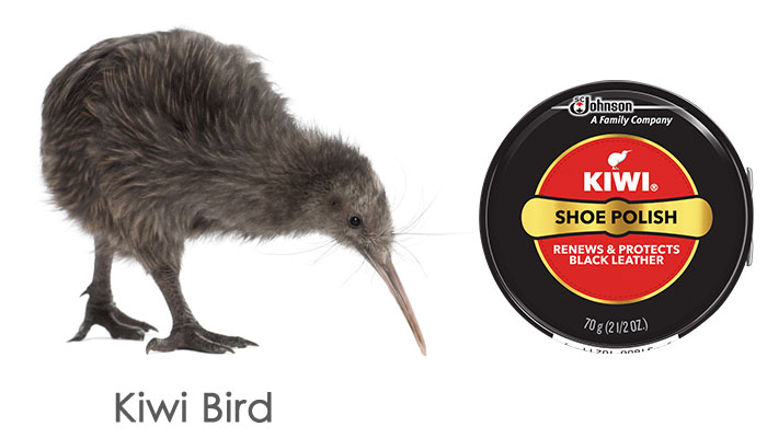 New Zealand cricket team's nickname - Kiwi