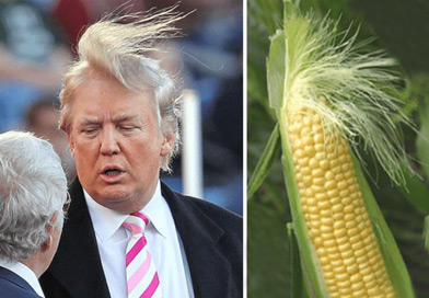Hilarious Pictures That Look Just Like Donald Trump